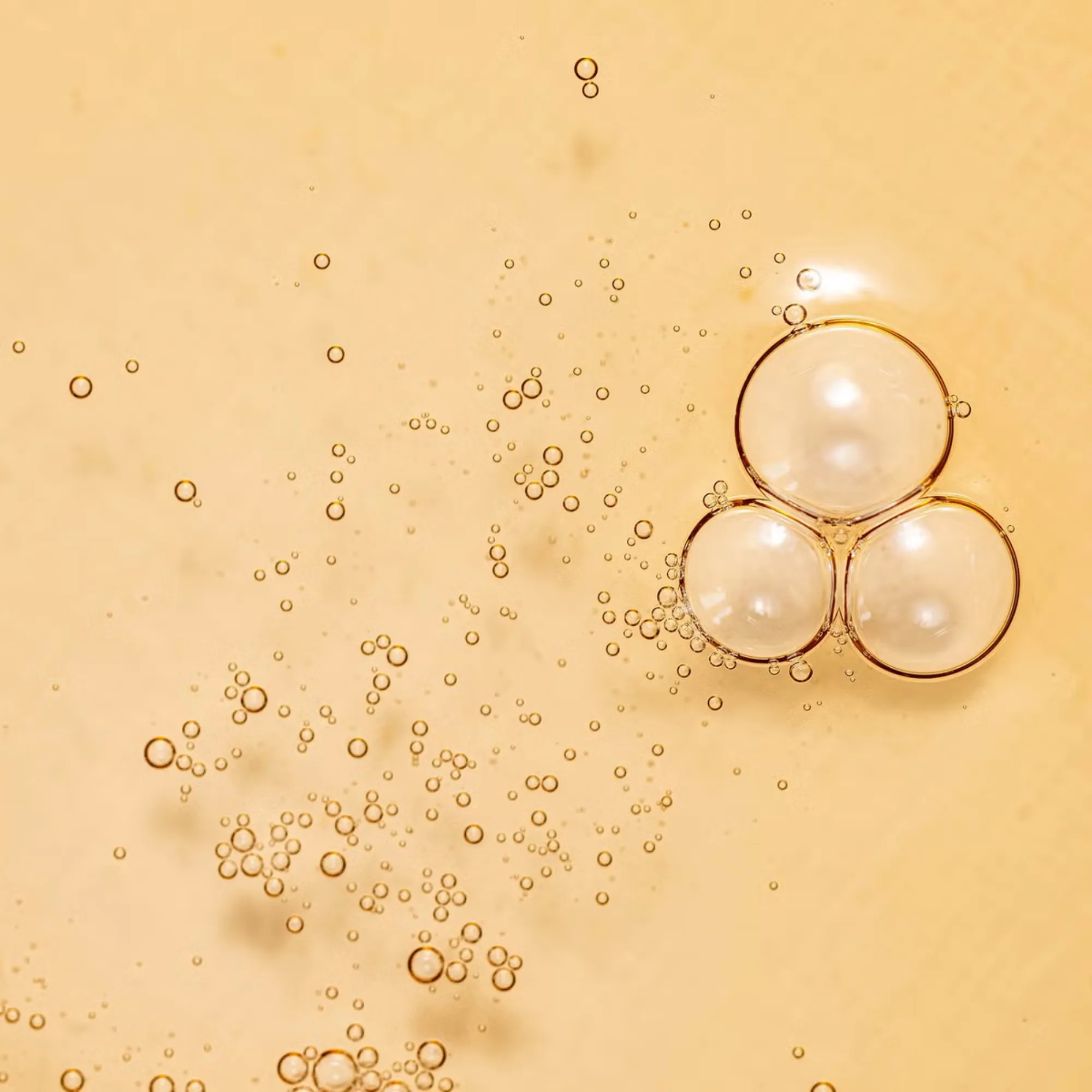 Beauty of Joseon - Ginseng Essence Water - Image 3